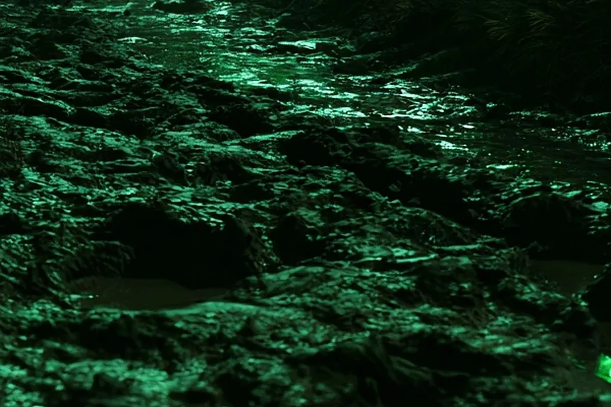 A muddy track at night, every rut holding a line of green light