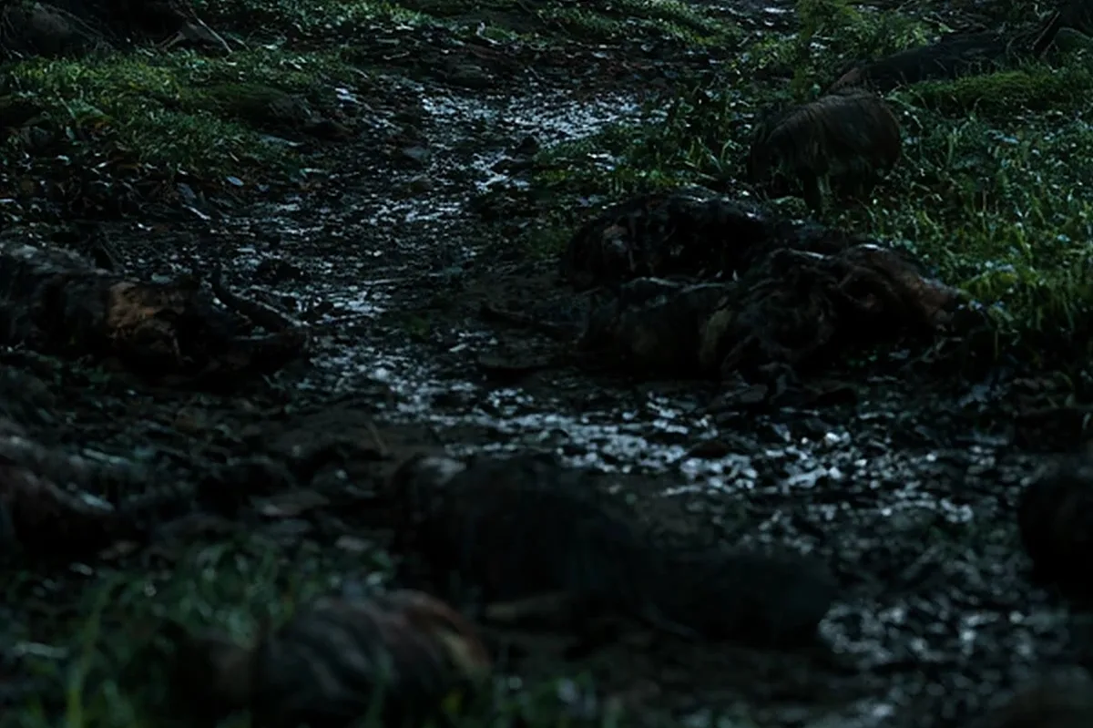 A muddy forest path of flat stones and roots, wet with rain